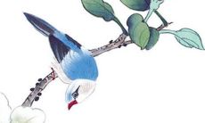 属兔女孩最吉利的名字简单