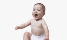 虎年为什么对猪不好