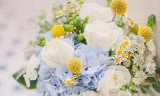 五月份工作会受到影响的星座