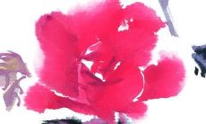 小孩取名字大全2022属虎男