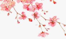 生肖狗男2022年运势及运程