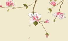 属狗女人2022年6月健康运程解析 凶星降临不容乐观