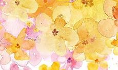 2022年属猴的命运