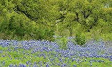 2019年11月出生的双胞胎男孩起什么名字