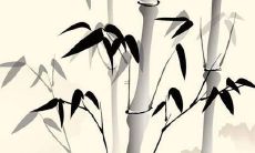 与伟搭配的男孩名字 带伟字五行吉利男生名儿