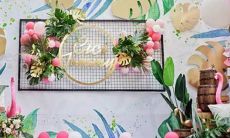 阴历11月12什么星座