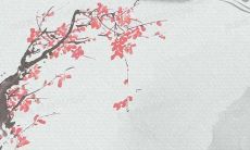 李姓男孩大气有涵养的名字