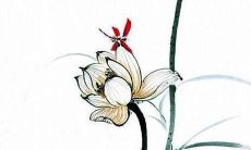 婴儿取名大全免费2022女