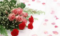 1971年12月12日星座