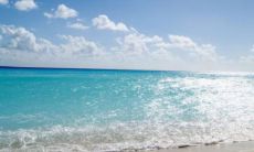 一眼惊鸿的情侣网名 奶凶奶凶可爱的情侣网名