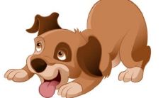 儿女双全取名技巧