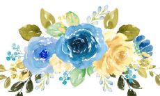 王姓虎宝宝取名大全2022款