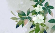 宝宝取名生辰八字免费