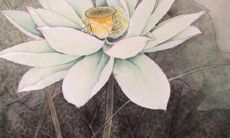 2022年男孩小名萌一点的洋气