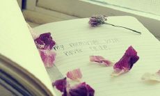 3个字的网名女生唯美伤感