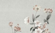 虎年给女宝宝取什么名字好