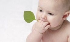 好听的带佳的名字 寓指精明能干起名