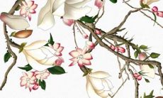 女孩缺木火名字大全2021属牛