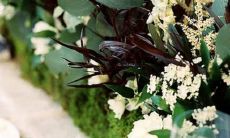 1987年11月26农历是什么星座