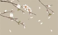 出生在11月23日为什么星座