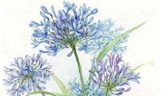 君字和什么字搭配好听 精选女孩名字推荐