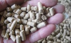 公司取名-饲料公司该如何取名