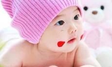 康熙字典五行属木的字大全