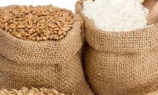 公司取名-粮油公司该如何取名