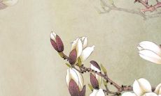 日本女孩子一般起什么名字