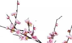 男孩新颖有涵养的名字 牛年出生取名技巧