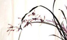 孟姓带字的女孩名字