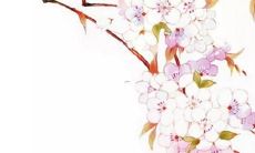 生辰八字给公司取名免费