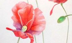 生辰八字免费取名字网