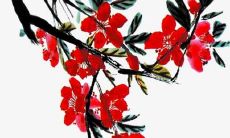 好名字男孩名女孩子身