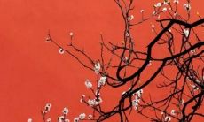 2022何姓男孩100分的名字