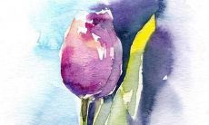 男生名字带鸾字 鸾字好听的五行名字推荐