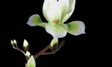 女生的好听名字