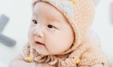 办什么山区的小女孩名字都叫山杏