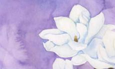 新生儿姓名大全免费