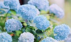 2020年农历五月二十五日出生的男孩五行起名大全