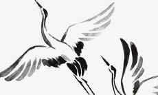 女孩用梵字起名好不好 有什么说法