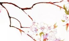 2022年女孩小名萌一点的乳名