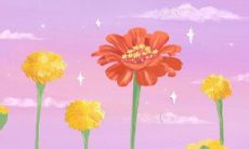 真心爱一个人微信名 唯独偏爱一个人的网名