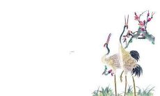 100个金字旁女孩名字