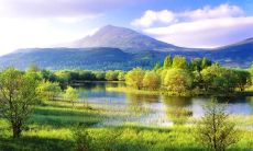 2020年农历闰四月十一日出生五行属水男孩名字