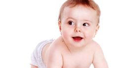 芸字取名的含义 代表香气