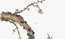 鼠宝宝取名字最佳字 生肖鼠宜用字