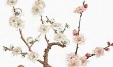 抒瑶用在女孩名字的寓意