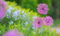 好听简洁的蛋糕店名字 洋气点的私家烘焙店名