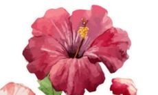 玺字取名会不会压不住